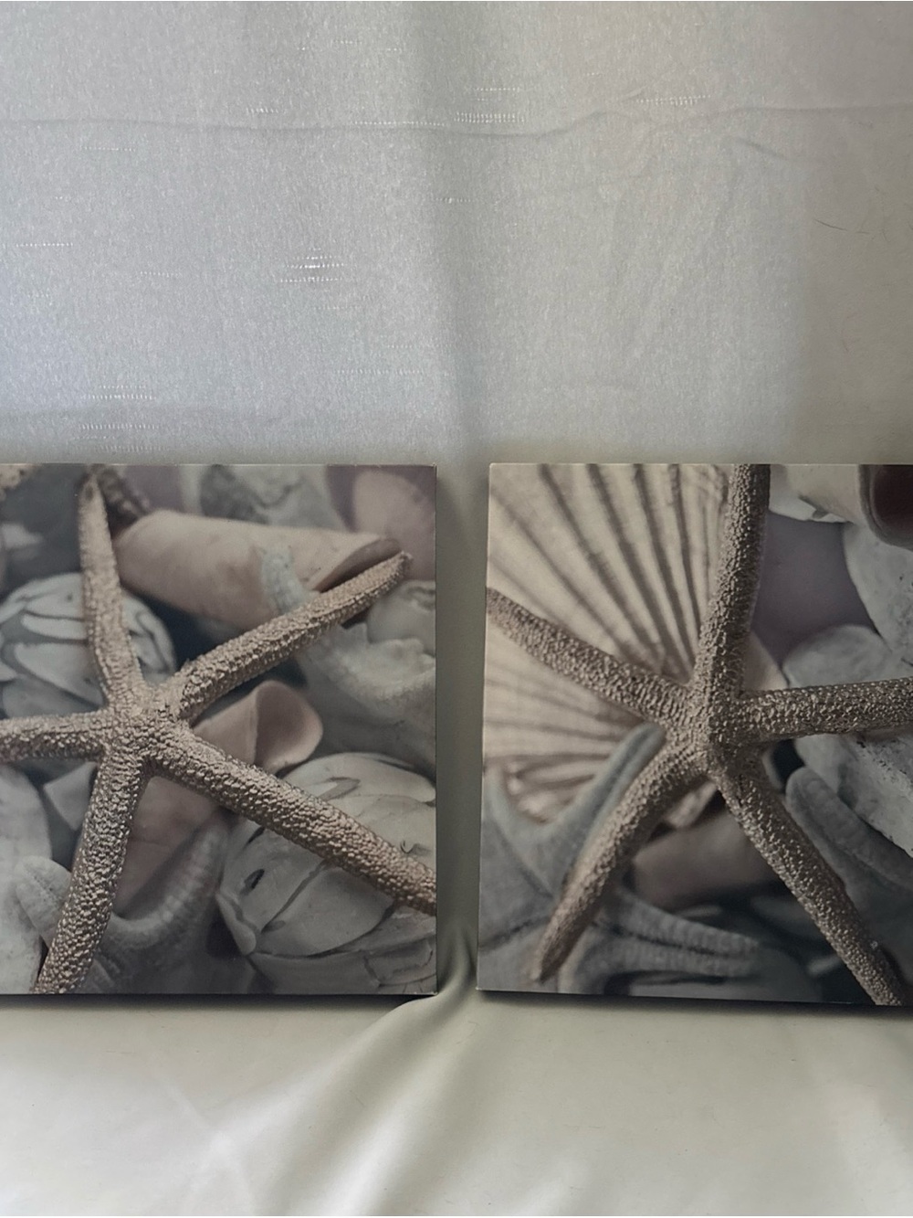 Coastal Starfish Canvas Wall Art - Set of 2